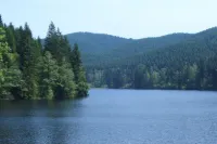 Hotel Pension am Kurmittelhaus Hotels in Bad Grund