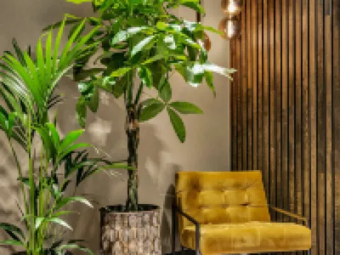 Origo Leilighetshotell- Øvre Storgate 5 โรงแรมในดรัมเมน