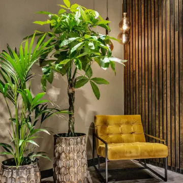 Origo Leilighetshotell- Øvre Storgate 5