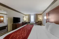 Comfort Inn Hotels in Mount Vernon