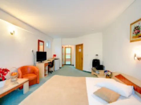 Hotel Cornul Vanatorului Hotels in Pitesti