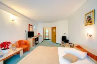 Hotel Cornul Vanatorului Hotels in Pitesti