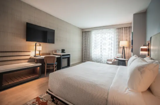 Cambria Hotel Austin Downtown Hotels near E 6th St