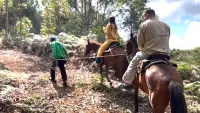 Finca Bienestar Hotel | the Medellin Retreat فنادق في Guarne