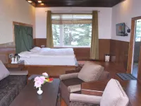 Hotel Green Top Hotele w: Patnitop