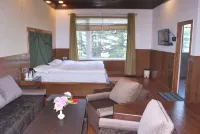 Hotel Green Top Hotels near Children Park Patnitop