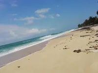 Family Home Hotels in Kwale