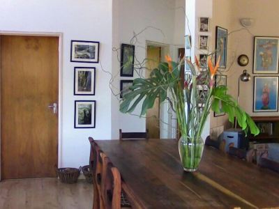 Forest Nest Cottage, Tsitsikamma