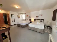 Ellen Bay Inn Hotels in Willikies