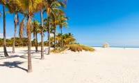 ICoconutGrove - Luxurious Vacation Rentals in Coconut Grove - con vistas al mar