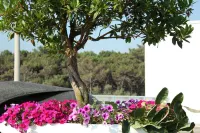 Terme Beach Resort - Scenic