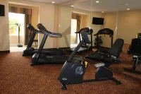 Holiday Inn Express & Suites THOMASVILLE by IHG - Gym