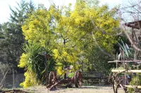 Agriturismo I Casamenti