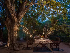 Pugdundee Safaris- Tree House Hideaway