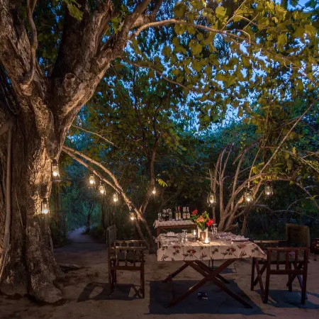 Pugdundee Safaris- Tree House Hideaway