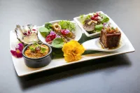 Jamala Wildlife Lodge Hotels in Phillip