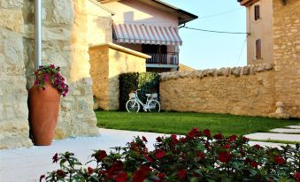 Arco di Vino - Tourist Location