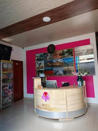 Hotel Bella Orquidea Отели в г. Ульоа