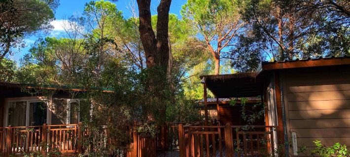 Camping Maremma Sans Souci Hotels in Grosseto
