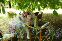 Domaine Mongiron