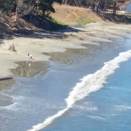 Cambria Victorian Castle: Walk to Beach, Village Shops, Wineries and Galleries!