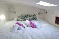 Maldives Dive Loabi Hotels in Mahibadhoo