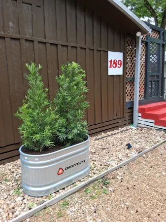 Cute Cabin with Hot Tub, Wifi and Roku. Queen Bed Close to Ratcliff Lake Отели в г. Кеннард