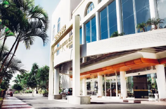 阿羅納春天大酒店-限成人