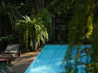 Fern Paradise Hotels in Amphoe San Sai