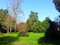 Villa la Dogana B&B di Charme - Historic Villa with a Beautiful Garden