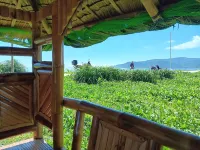 The Waves at Socorro Baler( Hotel A) - Scenic
