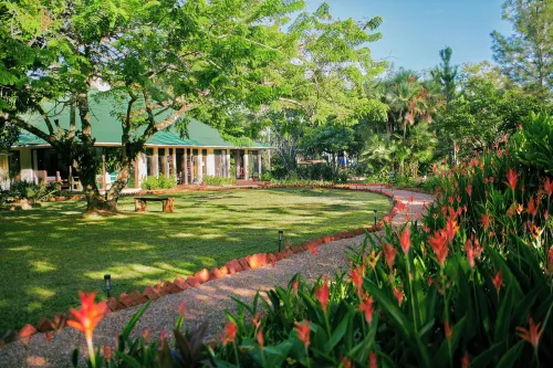 隱藏谷曠野小木屋