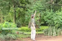 赤腳郊外小屋及遊獵營地 - 馬拉威 - 營地