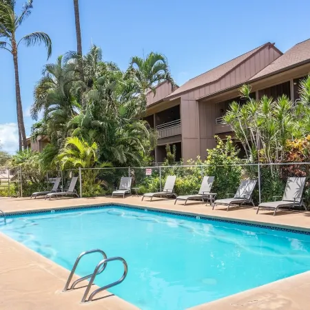 Airy Coastal Dream Vistas