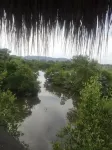 烏蘭蒂婭海灘旅社和露營地 - 3星級