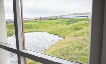 4 Bedroom Apartment - 20 Min Walk from City Centre - Nature