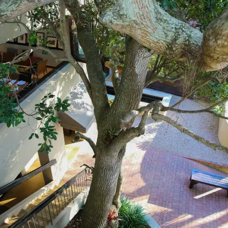 Teremok Lodge & Spa
