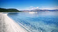 Kaplan Pansiyon Hotels in Doganbaba Koyu