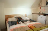 Penzion Pod Palavu Hotel di 