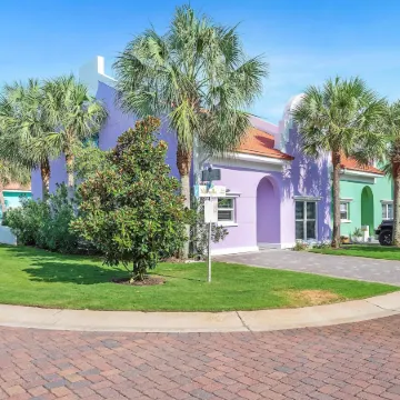 Purple Paradise