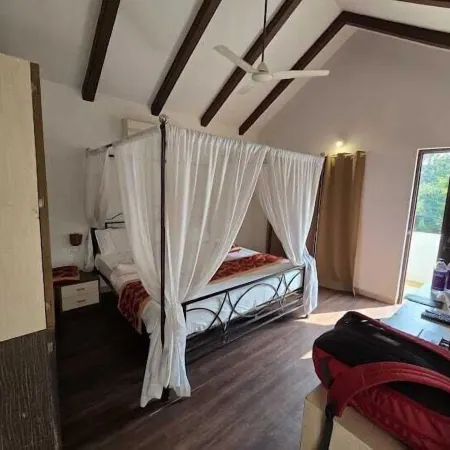 The Jungle Woods Resort