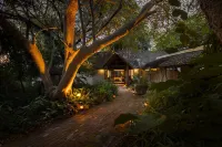 Thamo Telele Hotels near Xomae Group
