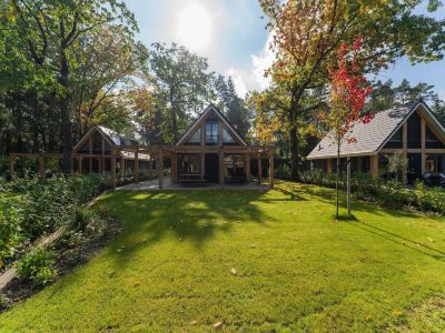 Detached 6-Person Forest Villa, Walking Cycling in Lochem