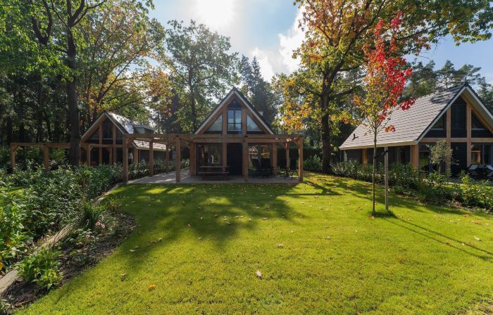 Detached 6-Person Forest Villa, Walking Cycling in Lochem