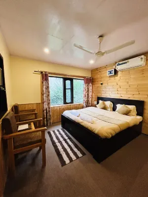The Iceland Hotel Srinagar - Pensions