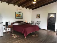 Villas Lambeau #2 - Ocean View - Fiber Optic / 1BR 1 BA Hotels in Uvita