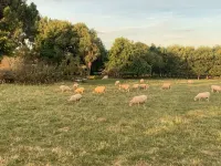 Cottage on Tuki Tuki Road Hotels in Haumoana