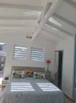 Tropical Studio