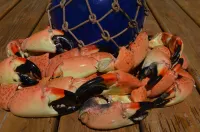 Beachfront large one bedroom studio, adjoining studio can be added to make 2/2.