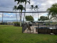 Entire ocean view1 bedroom apt poolside